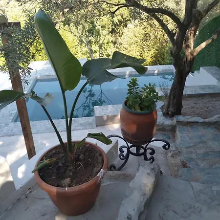 Dağ evi Gurmefes Tiny House Selçuk